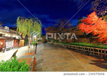 【京都府】祇園白川夜景 【京都府】祇園白川夜景 134375648