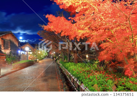 【京都府】祇園白川夜景 【京都府】祇園白川夜景 134375651
