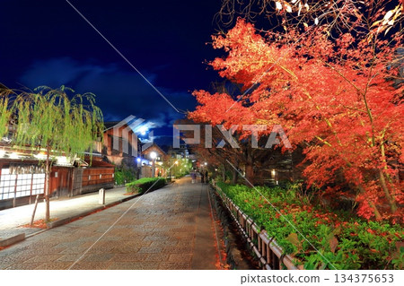 【京都府】祇園白川夜景 【京都府】祇園白川夜景 134375653