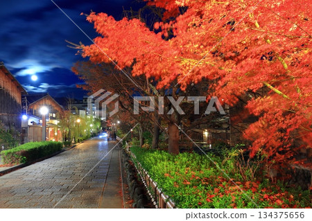 【京都府】祇園白川夜景 134375656