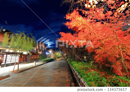 【京都府】祇園白川夜景 【京都府】祇園白川夜景 134375657