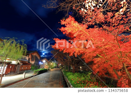 [Kyoto Prefecture] Night view of Gion Shirakawa 134375658