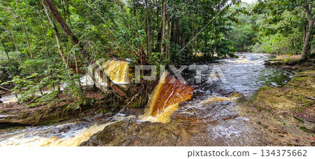 Macaws waterfall in Presidente Figueiredo near Manaus in the amazon region in Brazil Macaws waterfall in Presidente Figueiredo near Manaus in the amazon region in Brazil 134375662