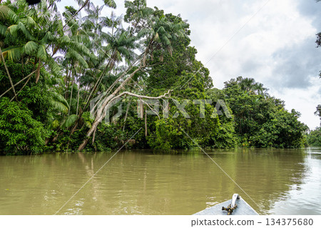 River boat tour on the Guama River at Belem do Para, a city on the north area of Brazil. River boat tour on the Guama River at Belem do Para, a city on the north area of Brazil. 134375680