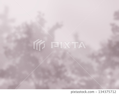 背景素材中可以看到樹木的影子倒映在牆上。 134375712