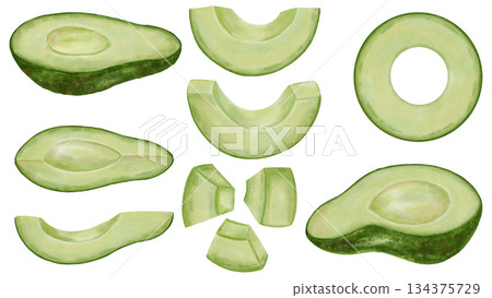 A hand-drawn watercolor avocado set slices and pieces, whole and halves. Perfect for stores, cafes, packaging, menus, logos, and projects related to healthy eating and cosmetics. 134375729