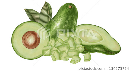 A hand-drawn watercolor illustration of an avocado composition with slices and leaves. Suitable for stores, cafes, packaging, menus, and products related to cooking, skincare, and health. A hand-drawn watercolor illustration of an avocado composition with slices and leaves. Suitable for stores, cafes, packaging, menus, and products related to cooking, skincare, and health. 134375734
