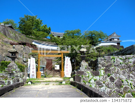 Usuki Castle Ruins, Oita Prefecture 134375872