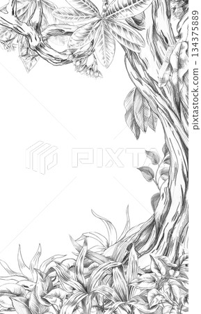 A rectangular vertical frame with a mighty tree trunk entwined with tropical plants. Isolated pencil illustration for event invitations, menus, and eco-hotel print design. A rectangular vertical frame with a mighty tree trunk entwined with tropical plants. Isolated pencil illustration for event invitations, menus, and eco-hotel print design. 134375889