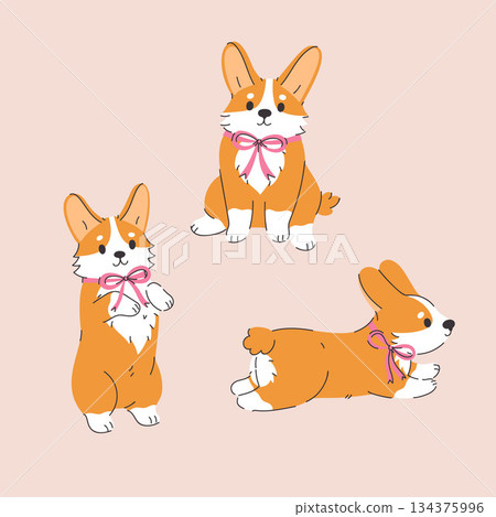 A set of cute corgi dogs with pink bows on their necks. Vector graphics. A set of cute corgi dogs with pink bows on their necks. Vector graphics. 134375996