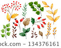 Watercolor autumn set with red rowan berries, rose hips, and yellow leaves. Clip art. 134376161