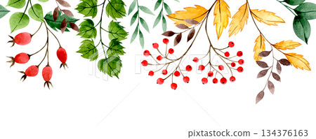 Watercolor autumn border with red rowan berries, rose hips and yellow leaves. 134376163