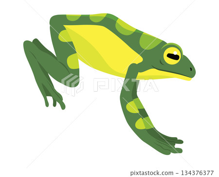 Frog jumping animation icon. Sequences or footage for motion design. Cartoon toad jumping, animal movement concept. Frog leap sequence, vector illustration 134376377
