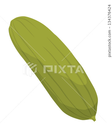 Homemade pickled cucumber. Clip-art of marinated food for packaging, label, menu, signboard or showcase. Fermented veggies, crunch gherkin with salt. Healthy vegetarian food 134376424