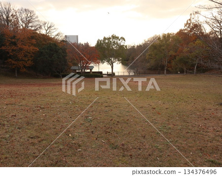 神戶市西區西新中央湯屋池 134376496