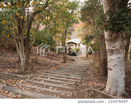 神戶市西區西新中央湯屋池 134376497