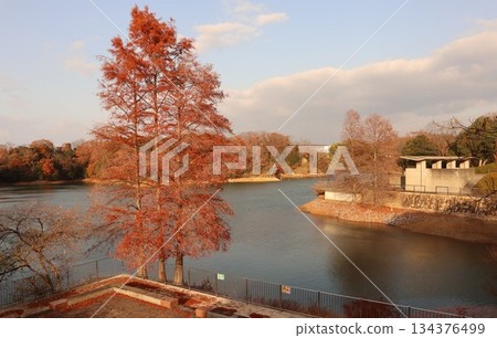 神戶市西區西新中央湯屋池 134376499