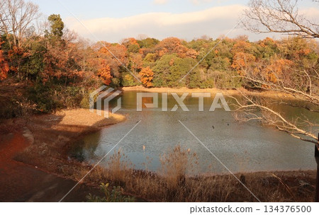 神戶市西區西新中央湯屋池 134376500