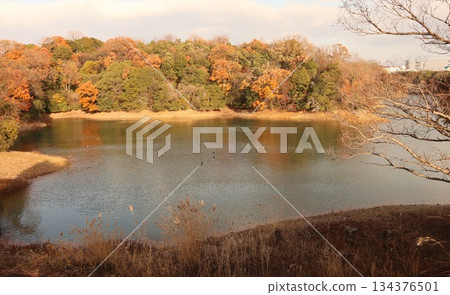 神戶市西區西新中央湯屋池 134376501