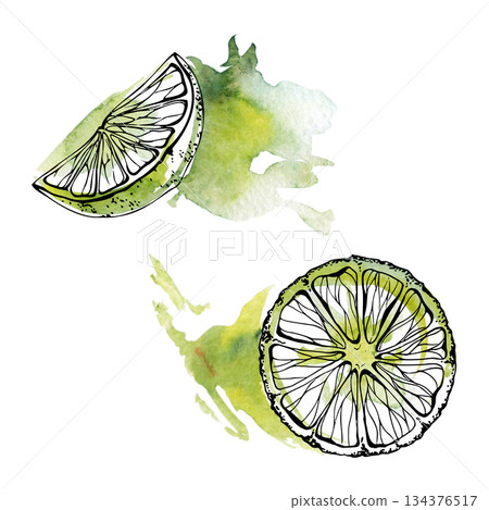 Green lime slices with gradient hues, isolated hand drawn in watercolor and ink. Tropical cocktail ingredient clipart for bar menu design, recipe layouts, citrus fruit decor prints, food packaging. Green lime slices with gradient hues, isolated hand drawn in watercolor and ink. Tropical cocktail ingredient clipart for bar menu design, recipe layouts, citrus fruit decor prints, food packaging. 134376517