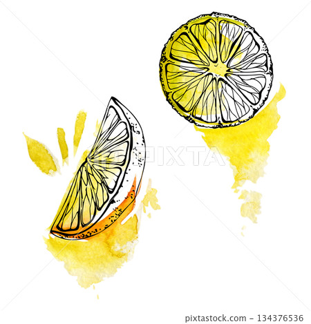Vibrant yellow lemon slices with visible rind texture and juicy segments, isolated hand drawn in watercolor and ink. Beverage labels, cafe summer recipes, citrus patterns, organic skincare product. 134376536
