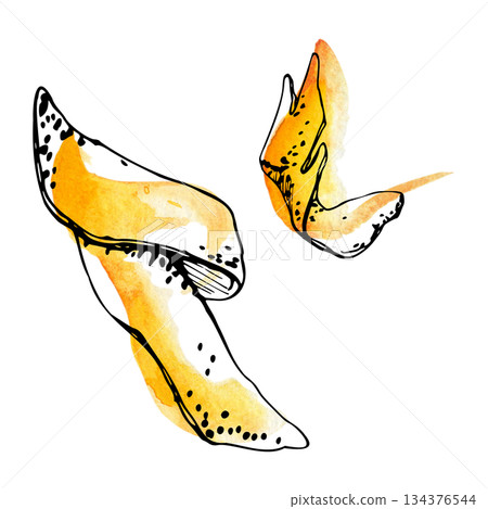 Curled orange peel ribbons with citrus texture, light ink outline, isolated hand drawn in watercolor and ink. Garnish for cocktail artwork, cafe menu graphics, citrus collection sets, dessert recipe Curled orange peel ribbons with citrus texture, light ink outline, isolated hand drawn in watercolor and ink. Garnish for cocktail artwork, cafe menu graphics, citrus collection sets, dessert recipe 134376544