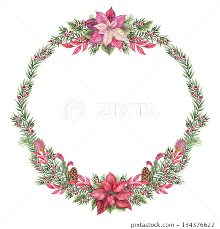 Lush Christmas wreath of poinsettia flower and yew branches in the circle shape in hand painted watercolor. Pink red and green create a winter look. Perfect for festive frame template and card design. 134376622