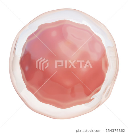 ovum cartoon style 3D icon graphic 134376862