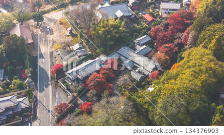 Nov 27 2025 Elegant Fuyoen Bekkan Surrounded by Serene Japanese Garden Nov 27 2025 Elegant Fuyoen Bekkan Surrounded by Serene Japanese Garden 134376903