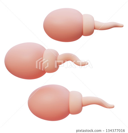 sperm cartoon style 3D icon graphic 134377016