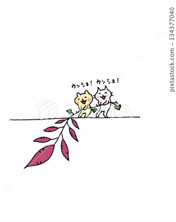 貓和松鼠挖紅薯的插圖 134377040