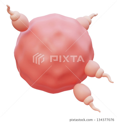 Sperm and Egg Cell Fertilization cartoon style 3D graphic 134377076