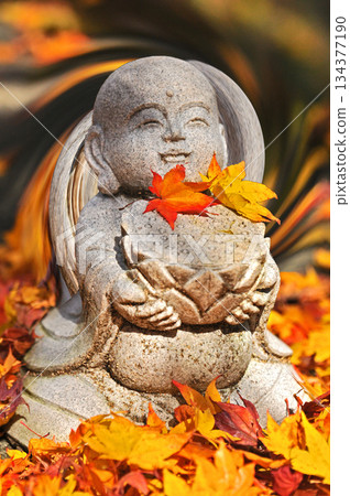 親愛的秋葉和地藏菩薩 134377190