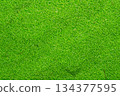 Grass background material pattern 04 134377595