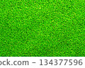 Grass background material pattern 05 134377596
