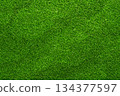 Grass background material pattern 06 134377597