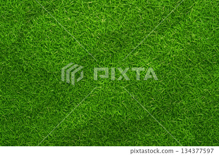 Grass background material pattern 06 Grass background material pattern 06 134377597