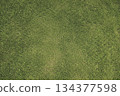 Grass background material pattern 01 134377598