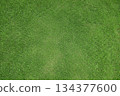 Grass background material pattern 03 134377600
