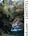 一條深翠綠色的溪流，蜿蜒流淌在黑色的岩壁之間。 134377751