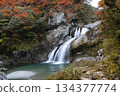 絢麗的秋葉、白瀧瀑布，以及神秘的翠綠色瀑布潭。 134377774