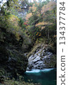 一條深翠綠色的溪流，蜿蜒流淌在黑色的岩壁之間。 134377784