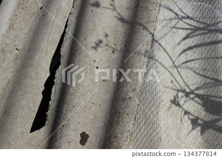 Old slate texture with shadows of plants and flowers, horizontal photo. Decorative background for design, herbal silhouette, construction industry material Old slate texture with shadows of plants and flowers, horizontal photo. Decorative background for design, herbal silhouette, construction industry material 134377814