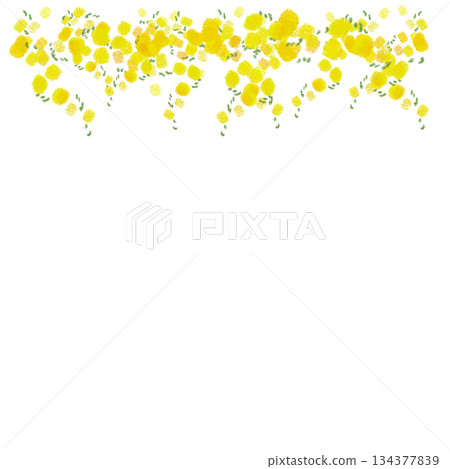 含羞草花自然框架插圖 134377839