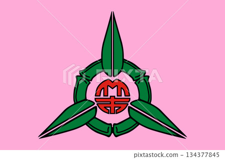Flag of Hsinchu City 134377845