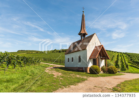 Eichert Kapelle in the vineyards, Jechtingen, Kaiserstuhl region, Baden-Wuerttemberg, Germany Eichert Kapelle in the vineyards, Jechtingen, Kaiserstuhl region, Baden-Wuerttemberg, Germany 134377935