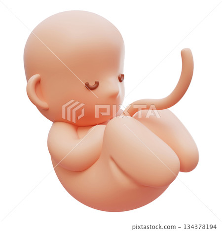Fetus Embryo baby cartoon style 3D graphic 134378194