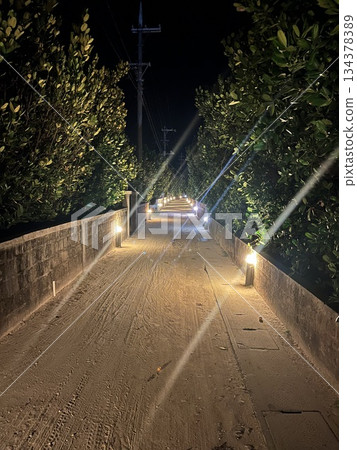 托納基島上綠樹成蔭的街道 134378389