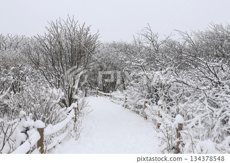 Balwangsan mountain covered in white snow. 134378548