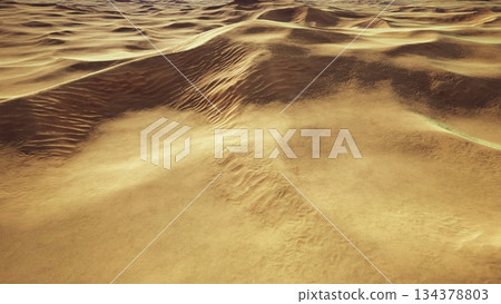 Golden sands stretch endlessly under the bright sun, creating a mesmerizing landscape. The gentle waves of dunes tell stories of shifting winds and time in this serene desert scene. Golden sands stretch endlessly under the bright sun, creating a mesmerizing landscape. The gentle waves of dunes tell stories of shifting winds and time in this serene desert scene. 134378803